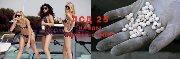 эйфоретик Кукмор