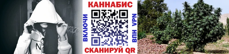 Конопля ГИДРОПОН  как найти закладки  Михайлов 